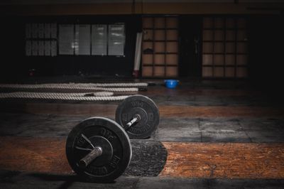 Tissue mechanics